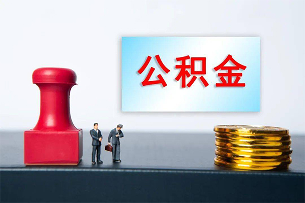 东莞11短借空放
